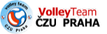 logovolleyteam