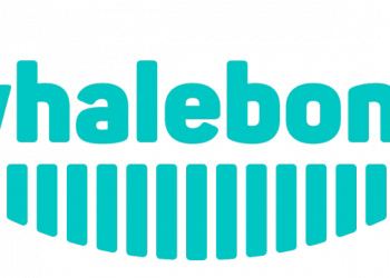 Whalebone – výborný český nástroj pro detekci a eliminaci malwaru v síti